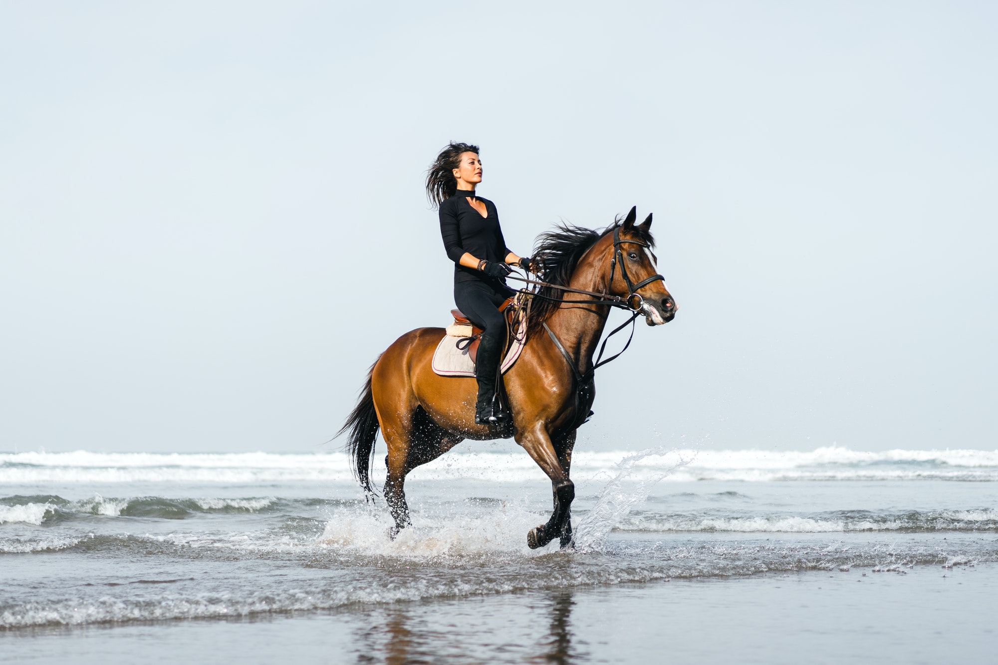 young-female-equestrian-riding-horse-in-wavy-water-on-sandy-beach.jpg