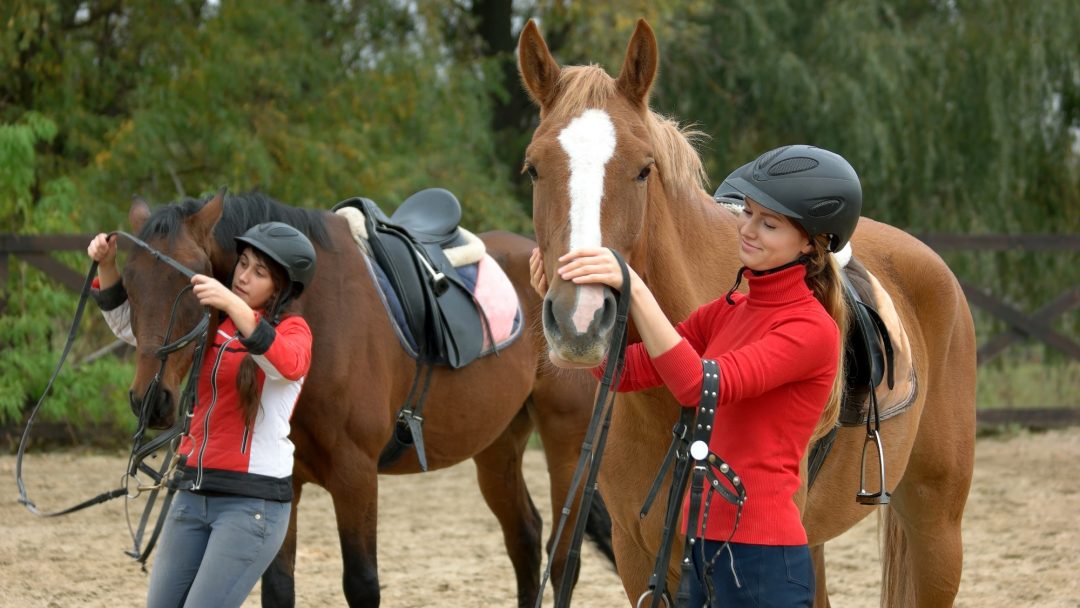 young-women-preparing-horses-for-riding-.jpg